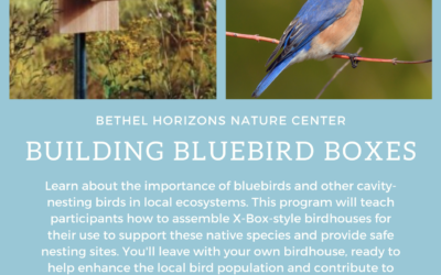 Building Bluebird Boxes